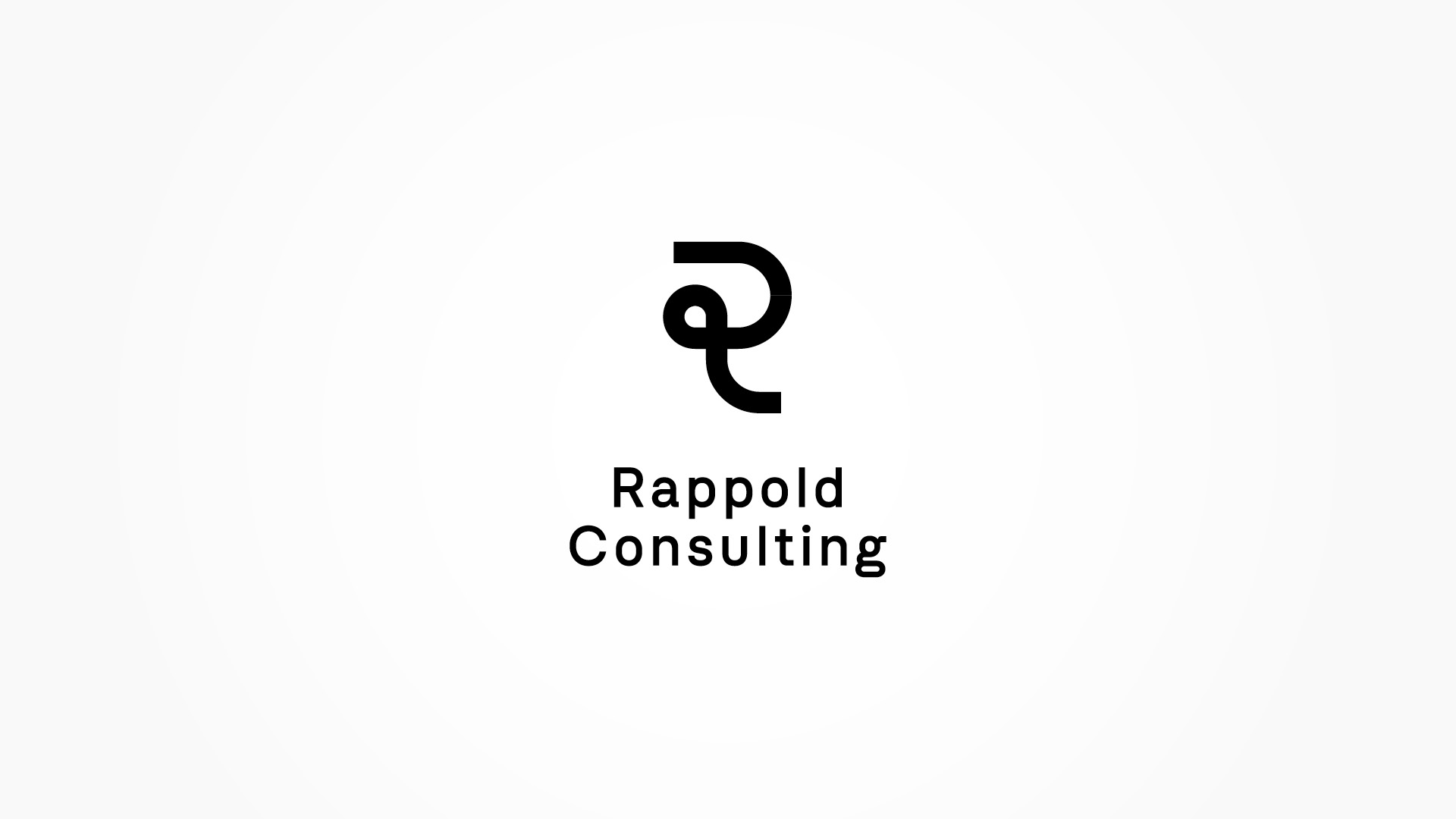 RAPPOLD-CONSULTING-9