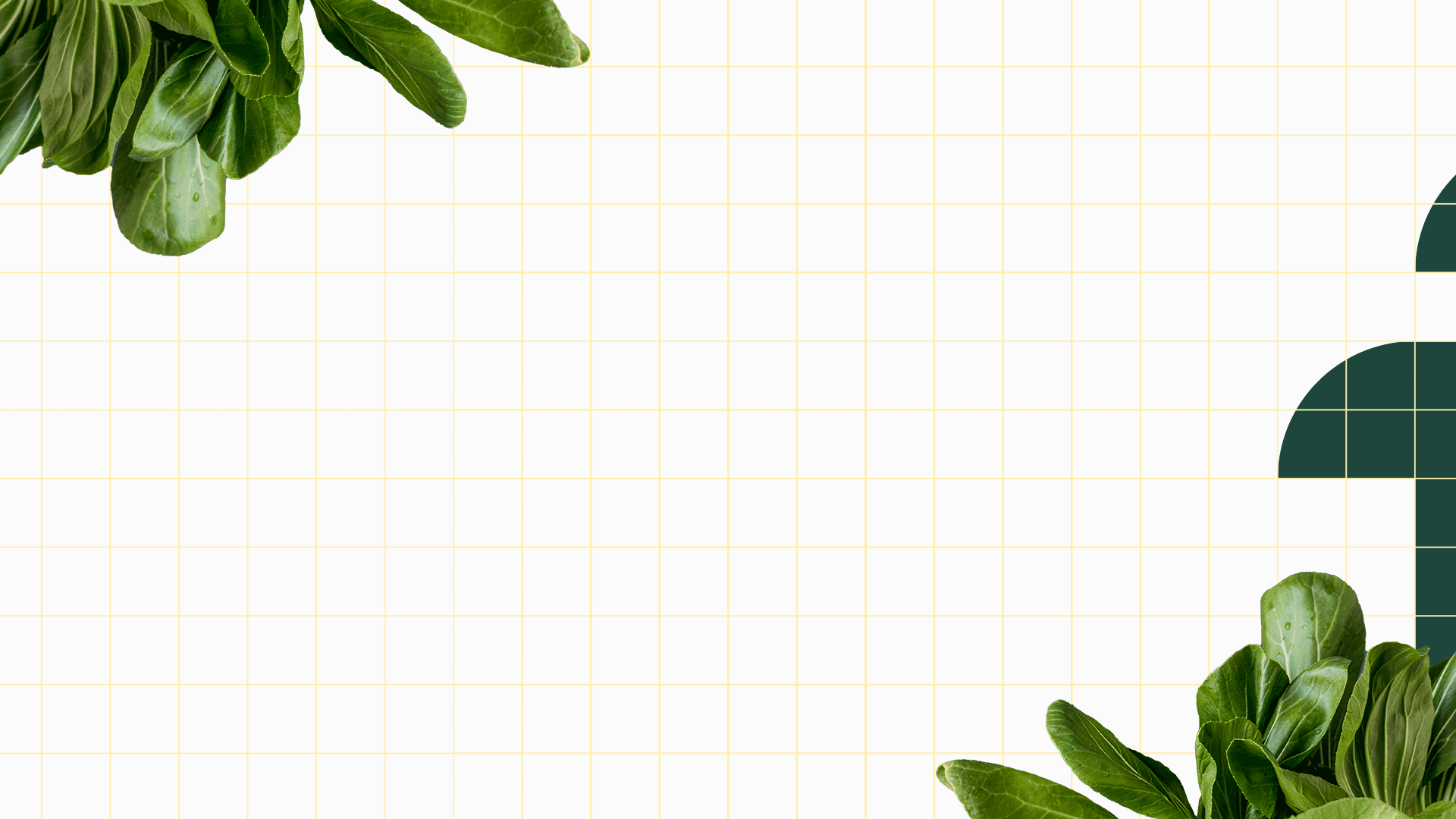 FN-ANIMATION-1-LO-01.3